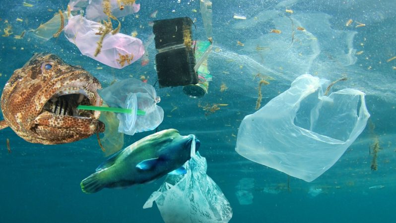 Pasifik Okyanusu’ndaki plastik adası büyüyor: Temizlik 10 yıl sürecek, maliyet 7,5 milyar doları bulacak