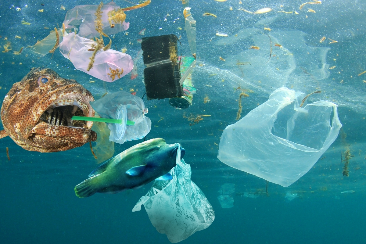 Pasifik Okyanusu’ndaki plastik adası büyüyor: Temizlik 10 yıl sürecek, maliyet 7,5 milyar doları bulacak